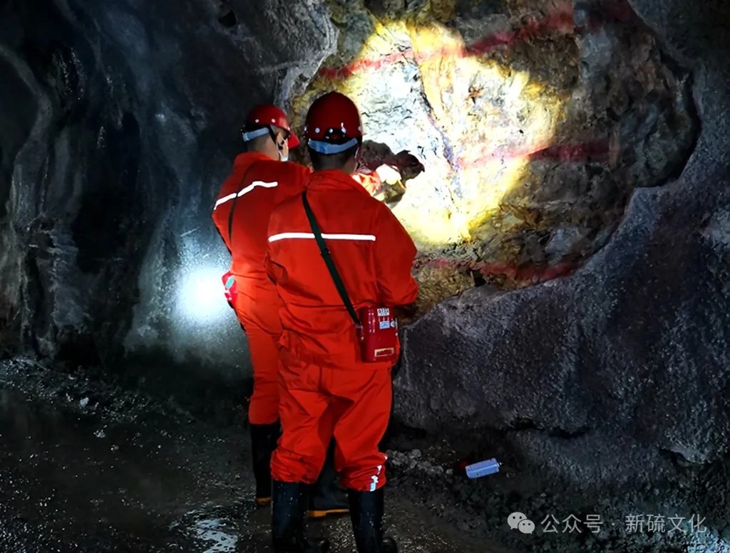 Z6·尊龙凯时「中国区」官方网站